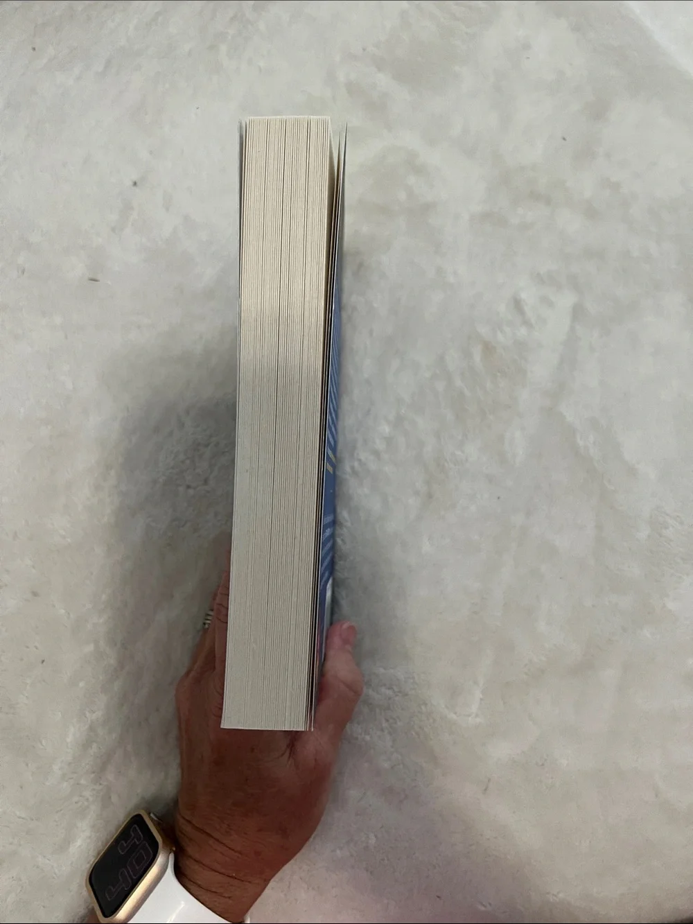 The Housemaid — Blue Cover Paperback by Freida McFadden